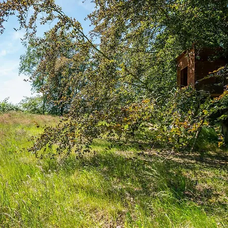 Holiday home Stunning In With Sauna Orsted (Midtjylland)