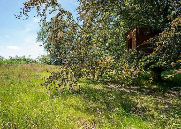 Holiday home Stunning In With Sauna Orsted (Midtjylland)